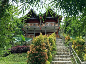Гостиница Hotel Orangutan  Bohorok
